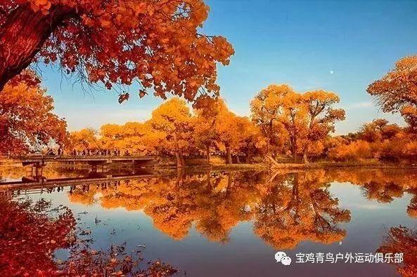 啥是电子学生证?它都能干啥?锐目星为您解答